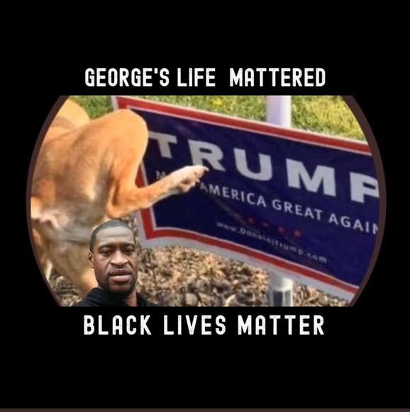 Meet your Posher, Briana - Picture 1 of 1